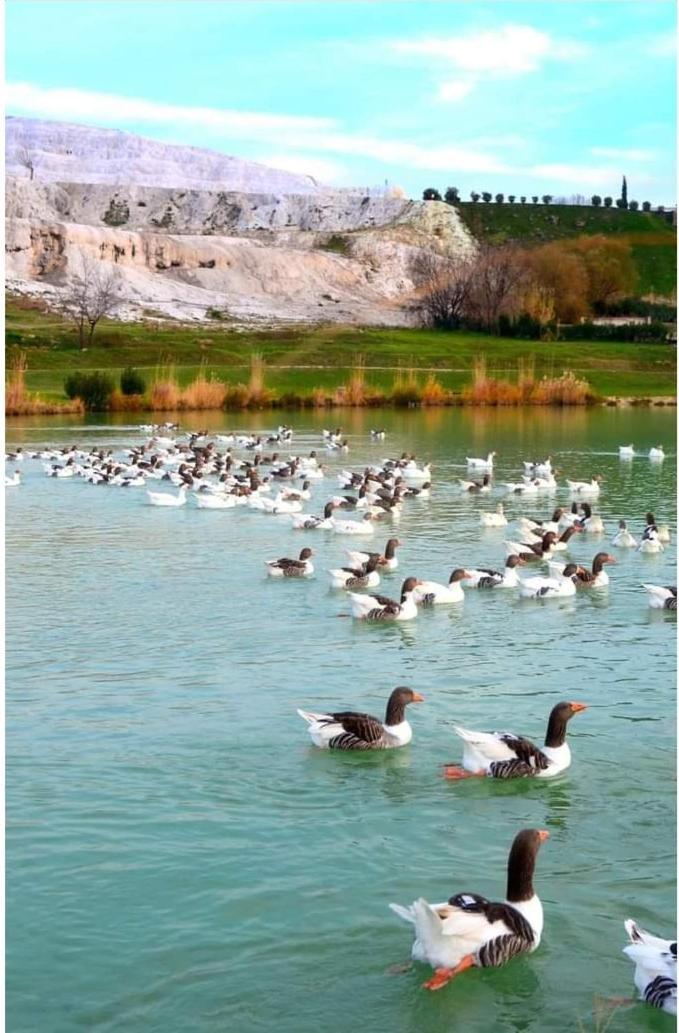 Akapella Hotel Pamukkale Bagian luar foto
